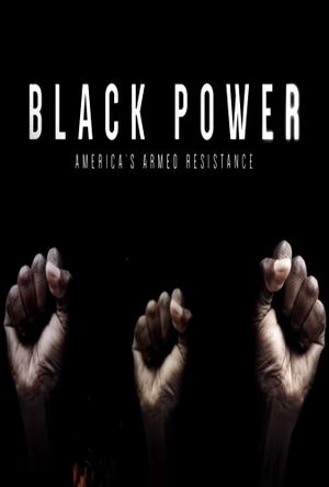 Black Power: America's Armed Resistance's poster