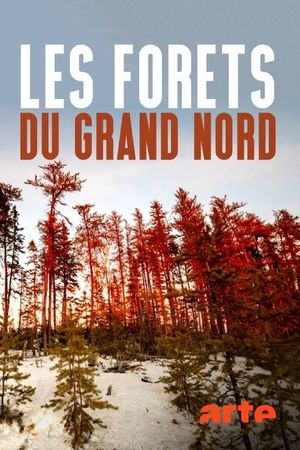 Les forêts du Grand Nord's poster image