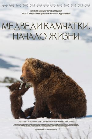 Kamchatka Bears. Life Begins's poster