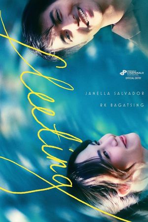 Fleeting's poster