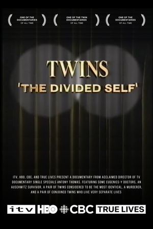 Twins: The Divided Self's poster