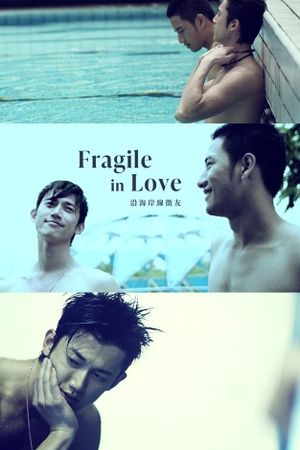 Fragile in Love's poster