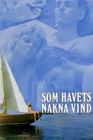One Swedish Summer's poster
