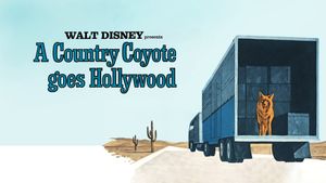 A Country Coyote Goes Hollywood's poster