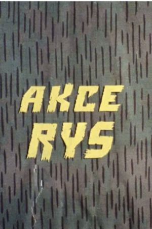 Akce Rys's poster