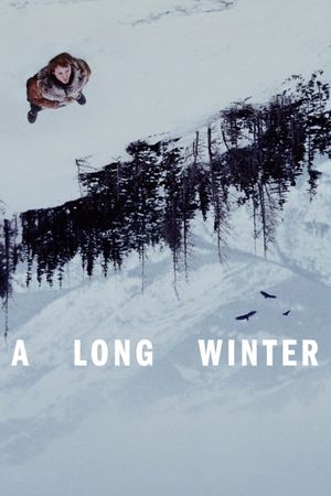 A Long Winter's poster