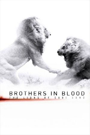 Brothers in Blood: The Lions of Sabi Sand's poster image
