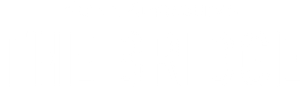 The Bridge's poster