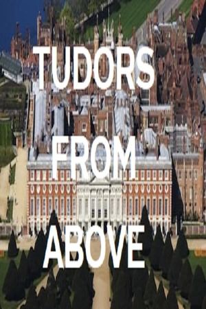 Tudors From Above's poster