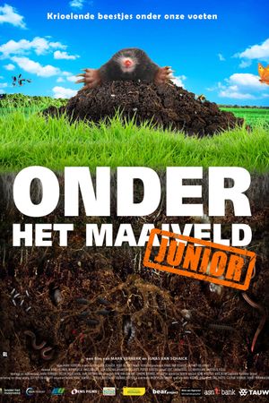 Onder het maaiveld junior's poster