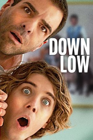 Down Low's poster