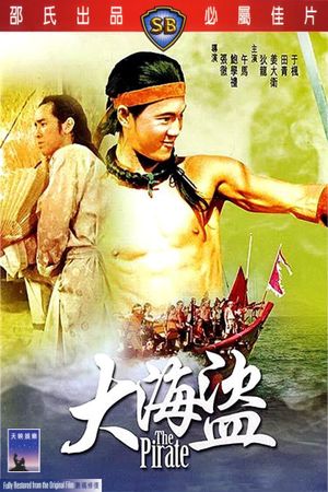 The Pirate's poster image