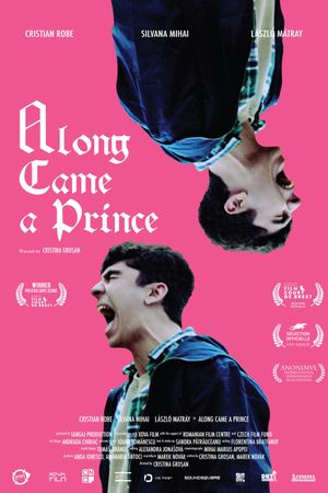 Along Came a Prince's poster