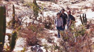 Desierto's poster