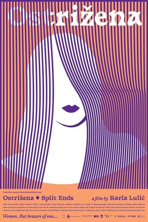 Split Ends's poster