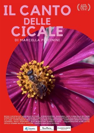 IL CANTO DELLE CICALE's poster