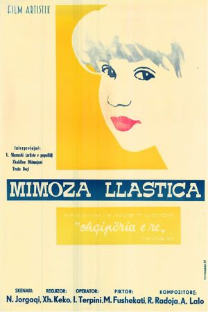 Mimoza llastica's poster