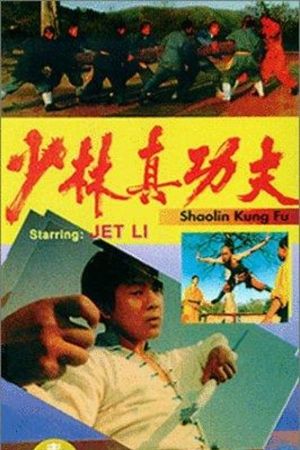 Shaolin Kung Fu's poster