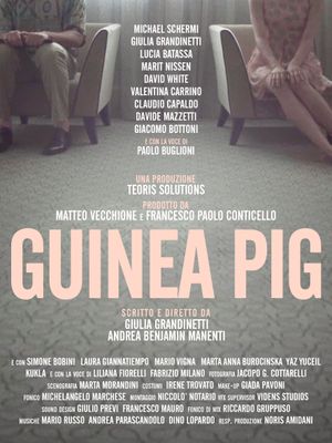 Guinea Pig's poster