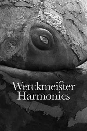 Werckmeister Harmonies's poster