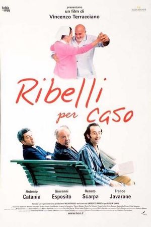Ribelli per caso's poster