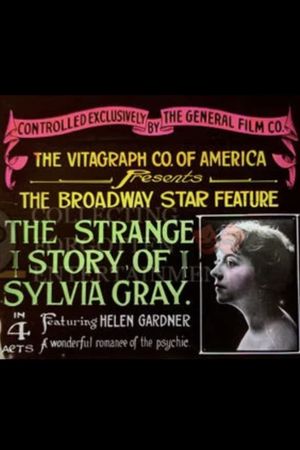 The Strange Story of Sylvia Gray's poster