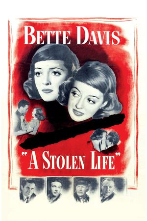 A Stolen Life's poster