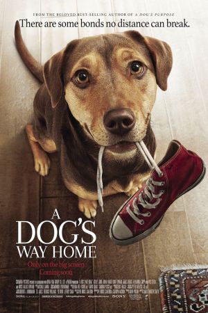 A Dog's Way Home's poster