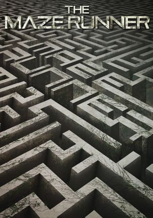 The Maze Runner's poster