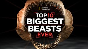 Top 10 Biggest Beasts Ever's poster