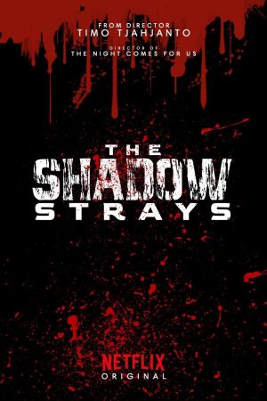 The Shadow Strays's poster