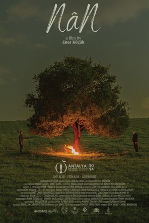NâN's poster