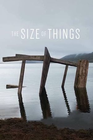 The Size of Things's poster image