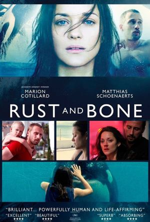 Rust and Bone's poster