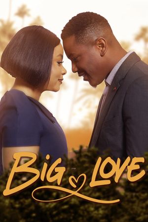 Big Love's poster image