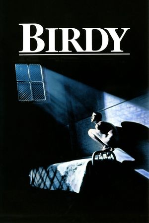 Birdy's poster