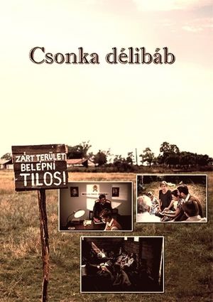 Csonka délibáb's poster