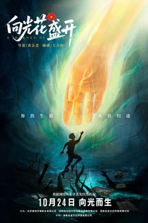 向光花盛开's poster