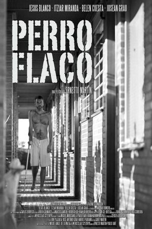 Perro flaco's poster