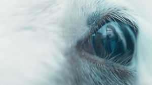Lamb's poster
