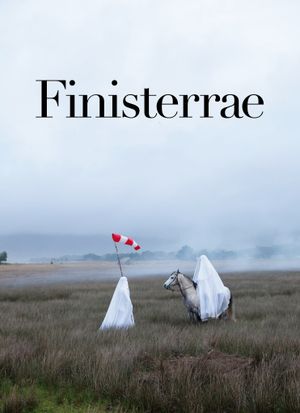 Finisterrae's poster