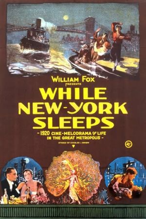 While New York Sleeps's poster