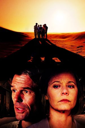 Disappearance's poster
