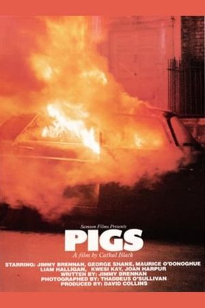 Pigs's poster