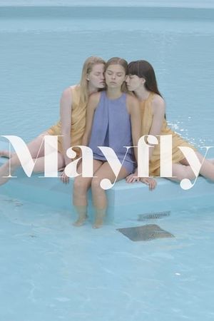 Mayfly's poster