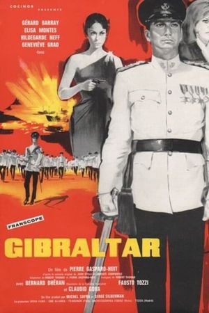 The Spy's poster