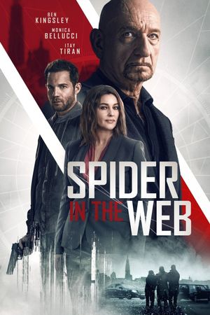 Spider in the Web's poster image