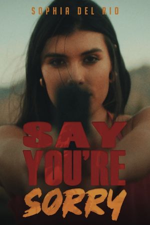 Say You're Sorry's poster
