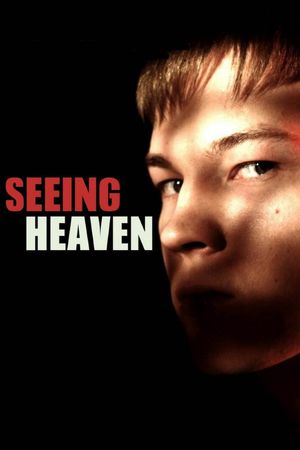 Seeing Heaven's poster