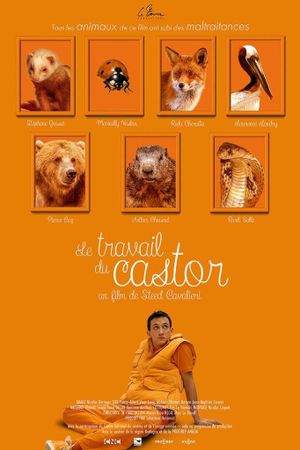 Le Travail du castor's poster